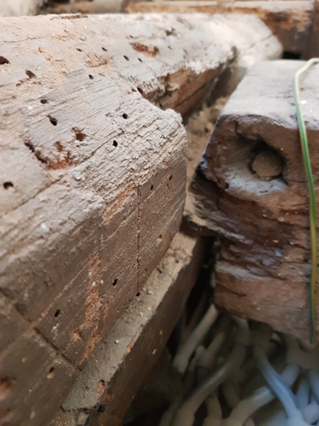 APPUI INSUFFISANT DES SOLIVES SUR LE CHEVÊTRE FORTEMENT GERCÉ AU DROIT DE SES MORTAISES