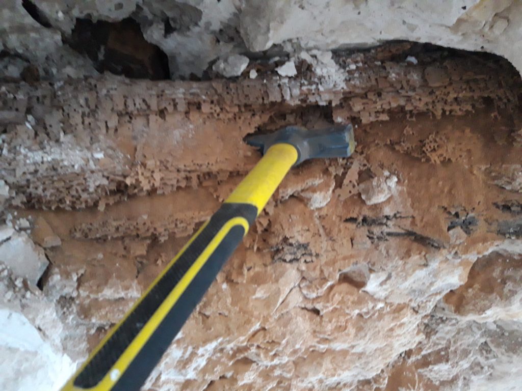 BOIS EN ÉTAT DE RUINE