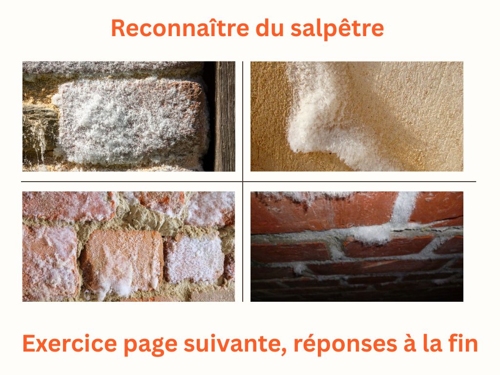 Montage de quatre photos montrant différents dépôts blanchâtres sur des briques et des murs, illustrant l’aspect typique du salpêtre sous forme poudreuse et fibreuse.