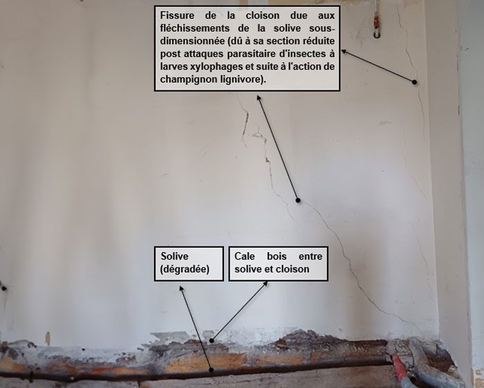 Fissure d'une cloison en compression